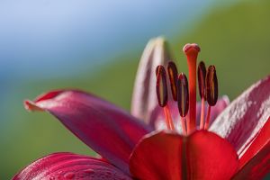 Frau Sein - Mensch Sein ... Seminar für Frauen