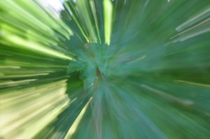 Integrale Gottesbilder