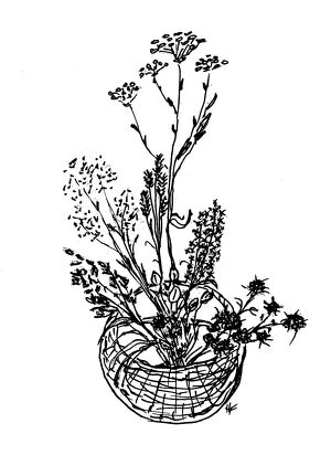 Meditatives Gestalten mit Pflanzen in Anlehnung an Ikebana
