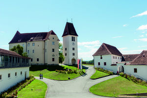 Führung im SCHLOSS SEGGAU - jeden Sonntag um 11.00 Uhr