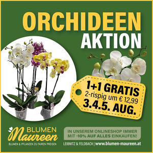Orchideen - Sommeraktion 3. – 5. August 2023 bei Blumen Maureen Leibnitz