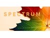 Spectrum - Kirchenkonzert im Herbst