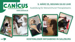 Infoabend Therapiehundeausbildung