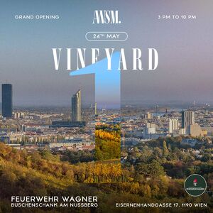 AWSM. VINEYARD EDITION DAYPARTY