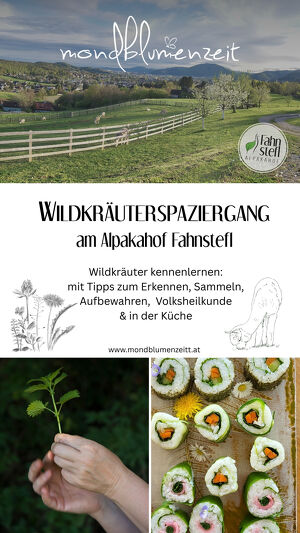 Wildkräuterspaziergang mit Kochwerkstatt