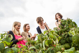 Taste the Weinviertel in Loosdorf