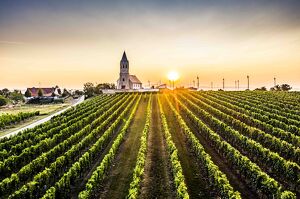 Carnuntum Experience am Hohen Weg