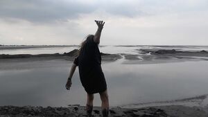 Performance zum Opening der multisensorischen Installation �Evocation of Absent Landscapes�