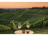 Sundown Sounds & Wine im LOISIUM Südsteiermark
