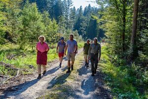 Wald der Zukunft-F&uuml;hrung im Kobernausserwald, St. Johann am Walde