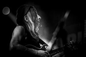 Harri Stojka - Acoustic Drive