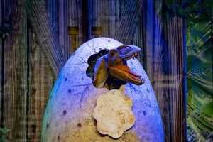 Die lebendige Dinosaurier Show � Knittelfeld